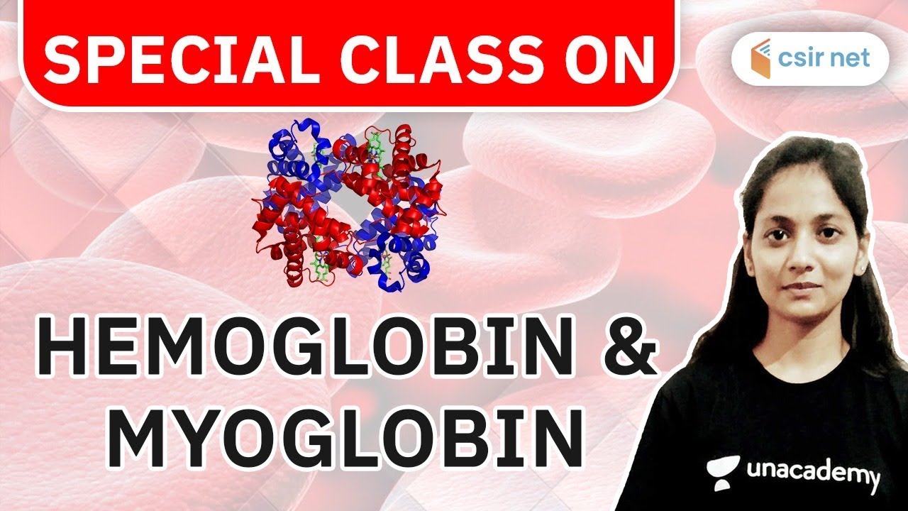 CSIR NET | What is Hemoglobin and Myoglobin | Kumkum Gautam