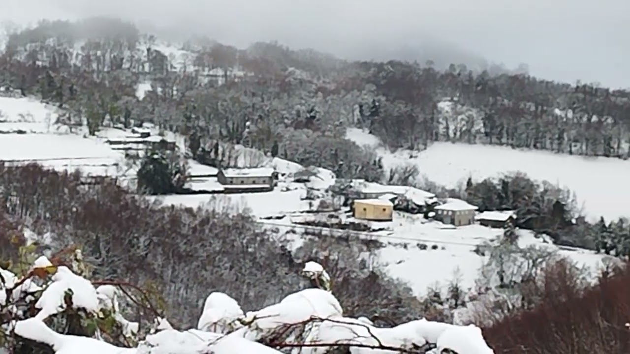 24 de enero 2026. Nevada en Leizán y Foilebar.