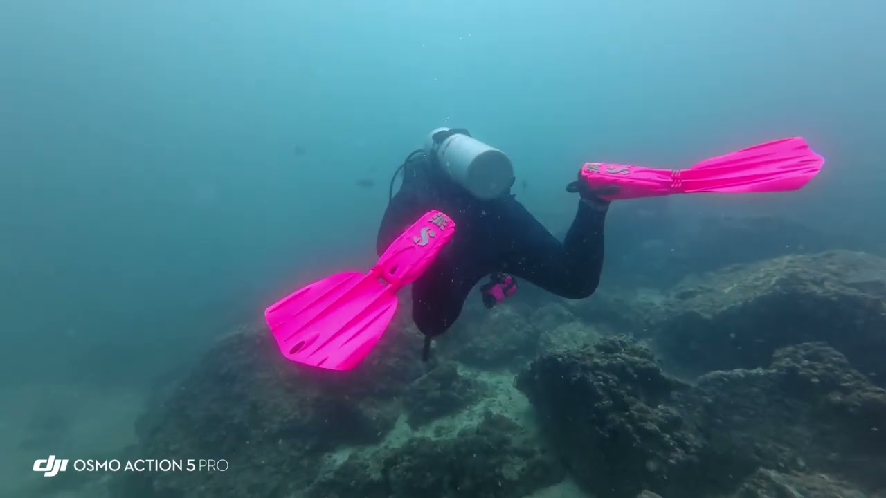 Scuba Diving: Coral Creek Martini Rock & Hole in the Wall