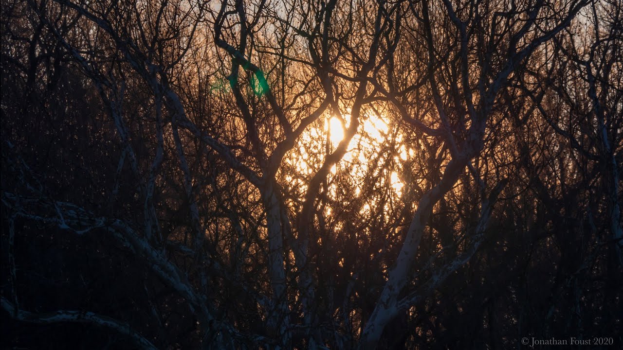 Understanding Anger and Ill will with Jonathan Foust