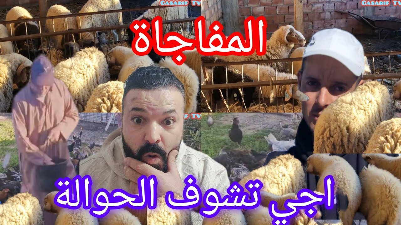 الفجاة اجي تشوف الحوالة خالد انزاغ 24/02/2026