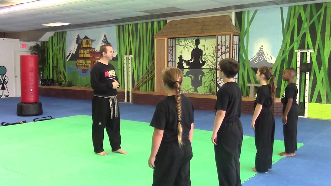 Martial Arts Curriculum and Drills