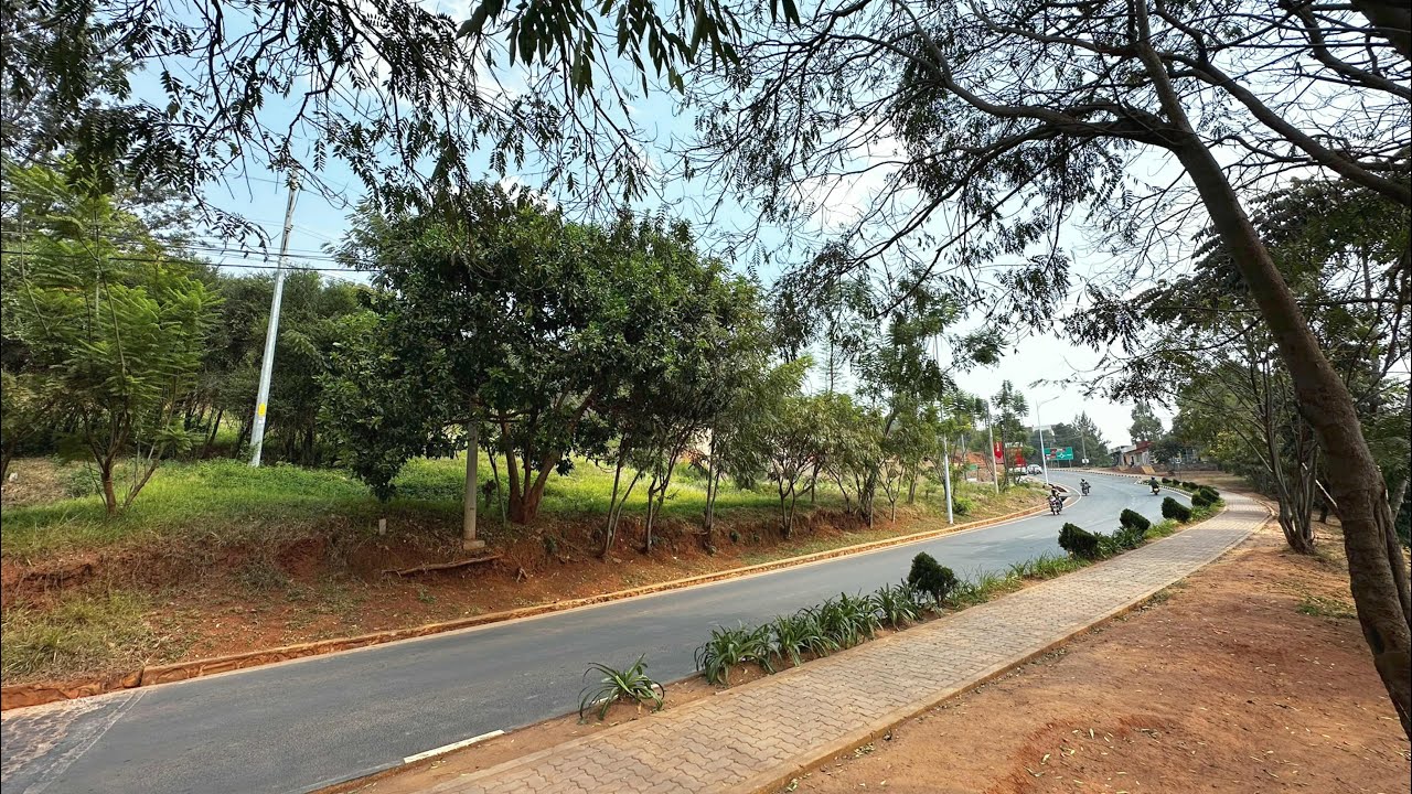 🔥Own Land in Kigali, Rwanda ! Affordable Plots with City Views in Rebero 🇷🇼