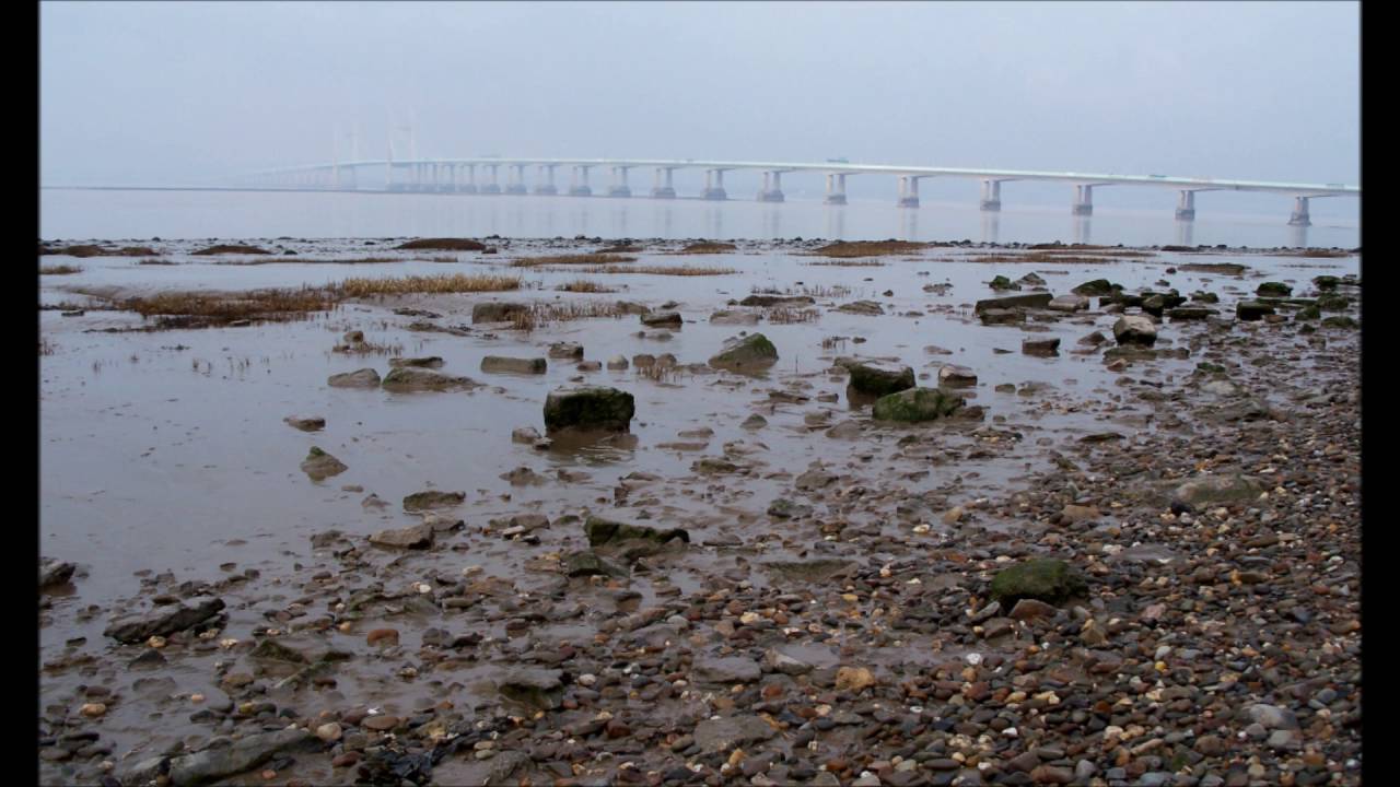 Aloha, Severn Beach (Adge Cutler)
