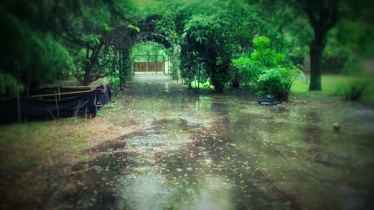 [4K] scenery ripple 01 mixes _ ASMR, EPIC, 비소리, 바람, 자연의 소리, 물소리, 수면, 집중, 공부, 휴식, 잠, NSDR, Yoga Nidra