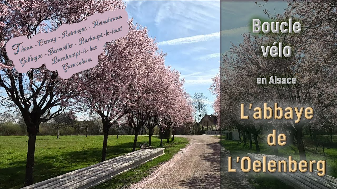 Boucle vélo en Alsace - L'Abbaye de l'Oelenberg à Reiningue