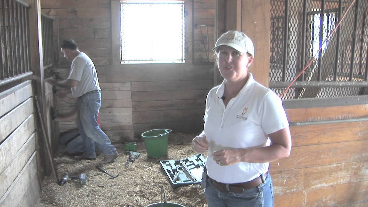 Horse Facilities: Barn Maintenance