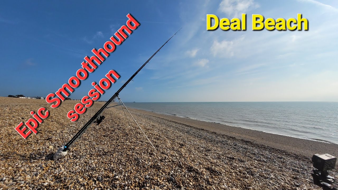 Deal Beach Smoothhound Bonanza 🎣🎣