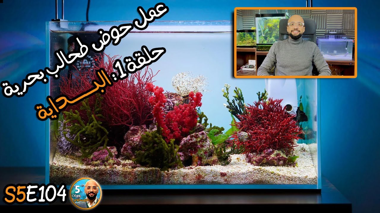 S5E104 - عمل حوض طحالب بحرية الحلقة 1 : البداية