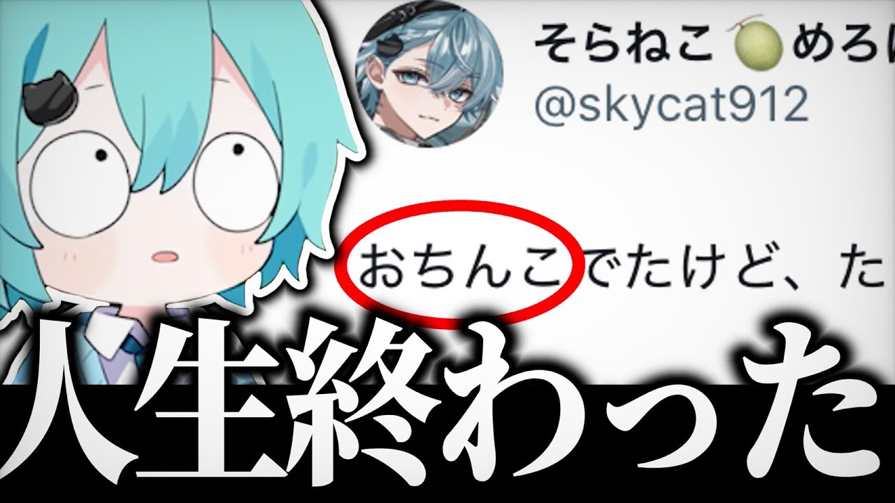 【炎上】１つの誤字で活動人生終了した件について【そらねこ/なろ屋/めろぱか/MEROPRO/切り抜き】