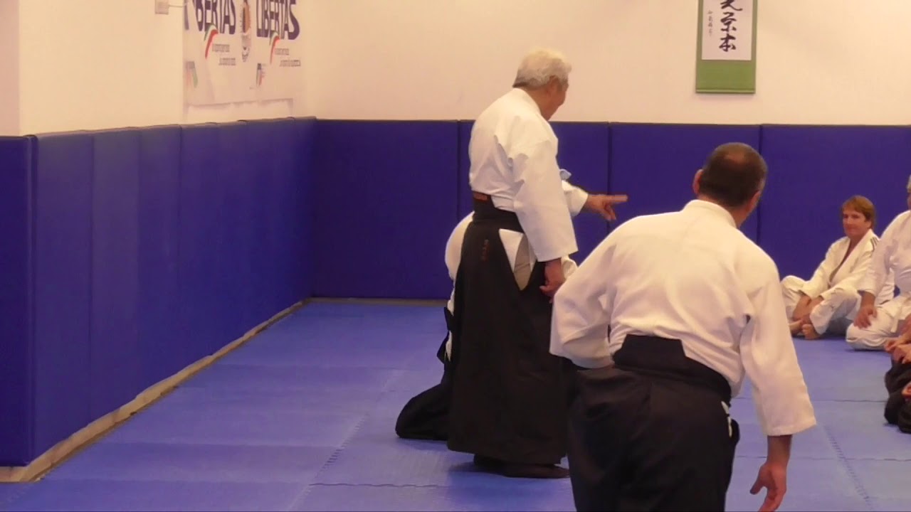 合気道 （Aiki-do）廣澤英雄先生（Hideo Hirosawa sensei）in Sorrento②