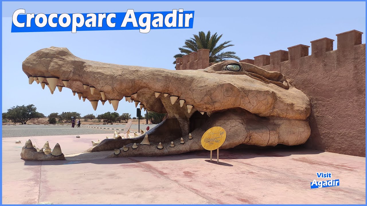 Crocoparc Agadir Morocco - Nile crocodile-  Crocodile du Nil