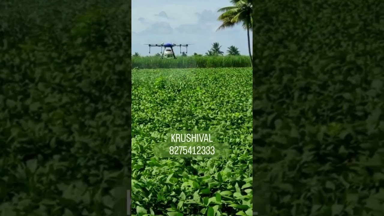 । अपना किसान अपना ड्रोन ।Agriculture Drone spraying... 