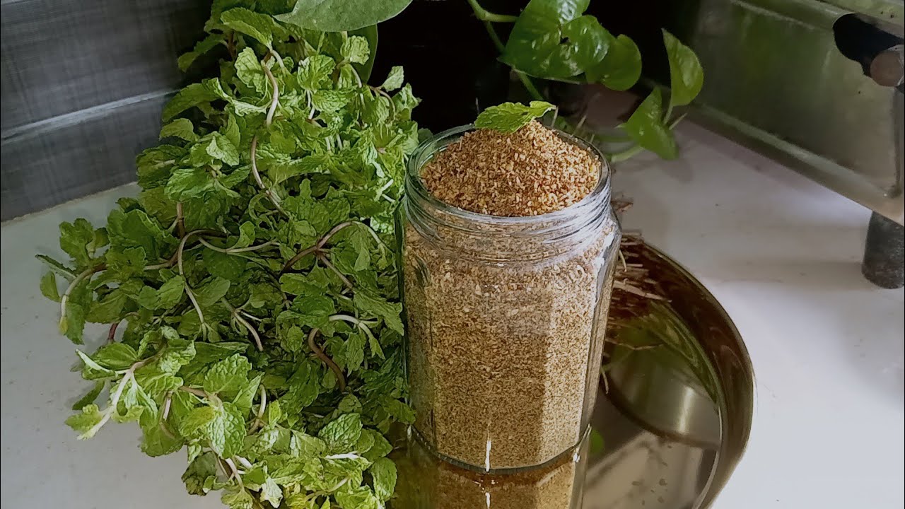 పుదీనా కారంపొడి#pudina karampodi.
