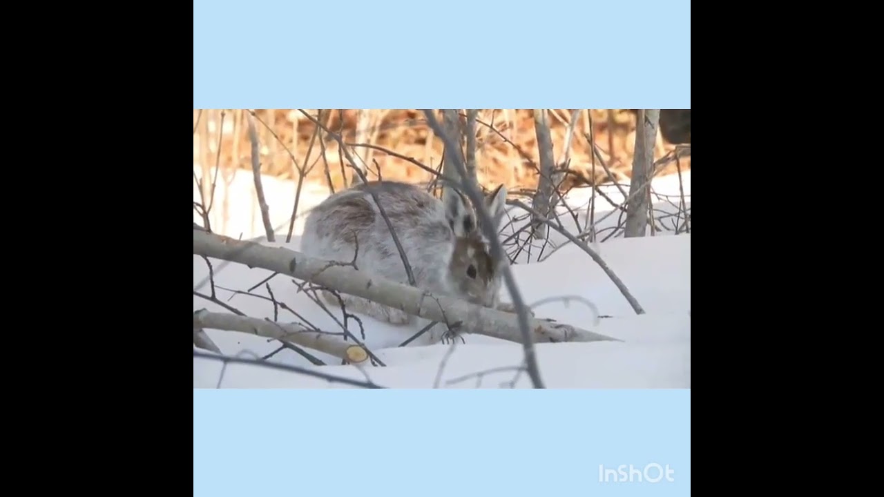 Заняття з природознавства 