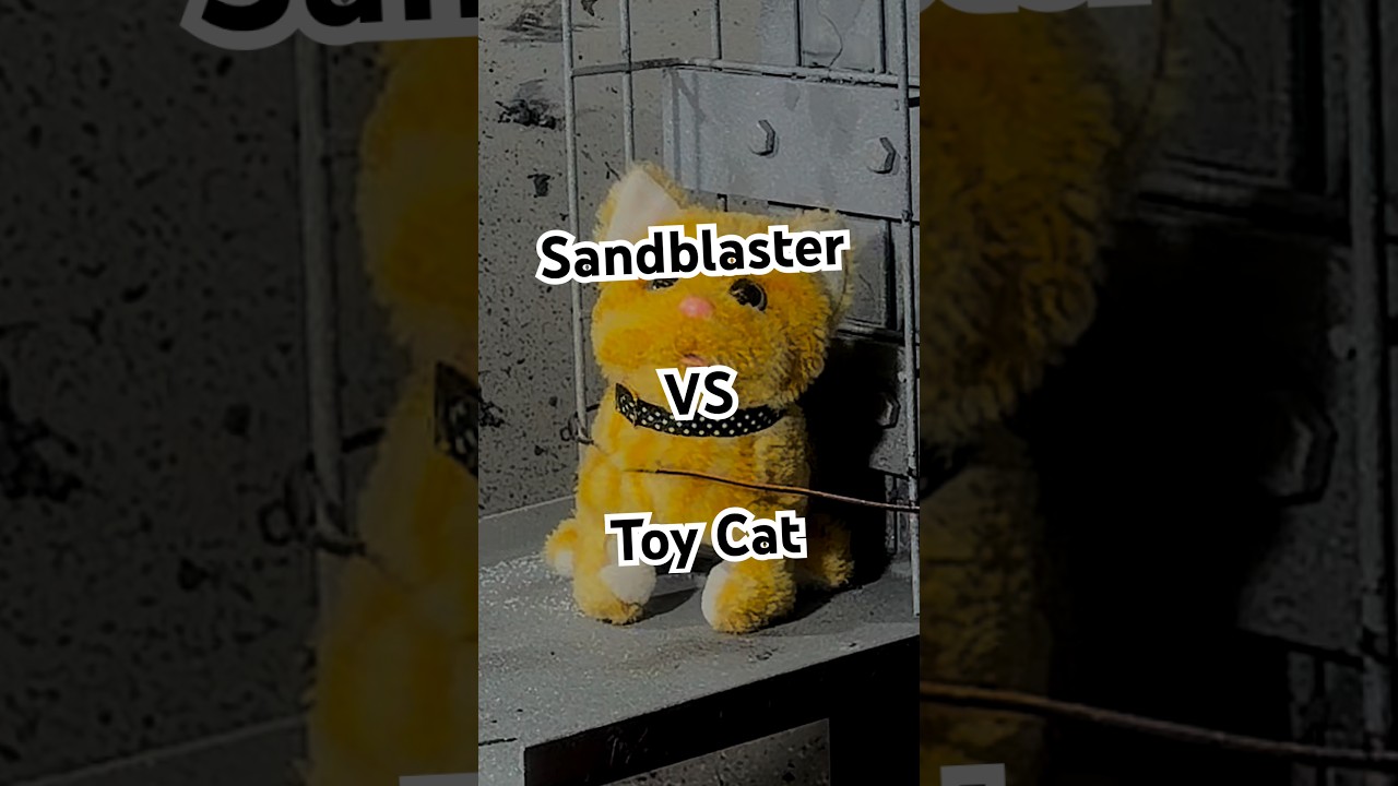 Sandblaster VS Toy Cat 🐱
