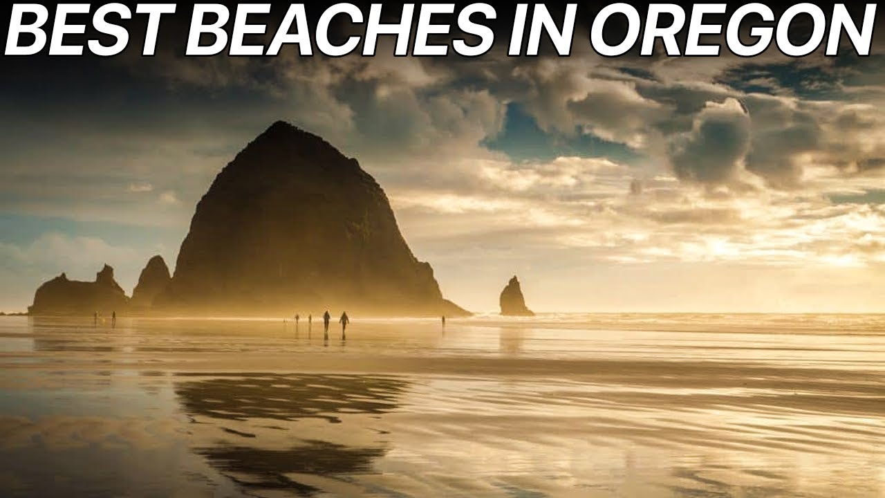The Best Beaches To Visit In Oregon | Swimming Beaches For Families &mdash; Top 10 Wizard