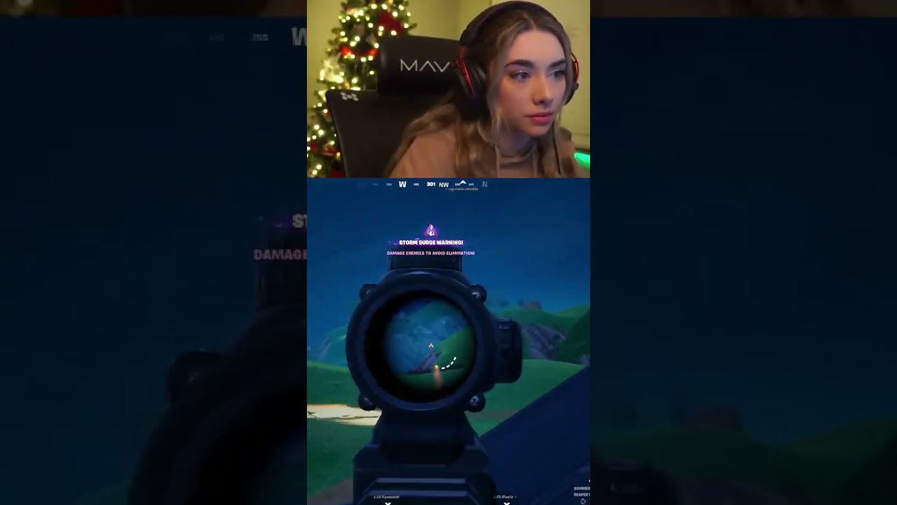 Peterbot and Sommerset? (Fortnite Chapter 5)