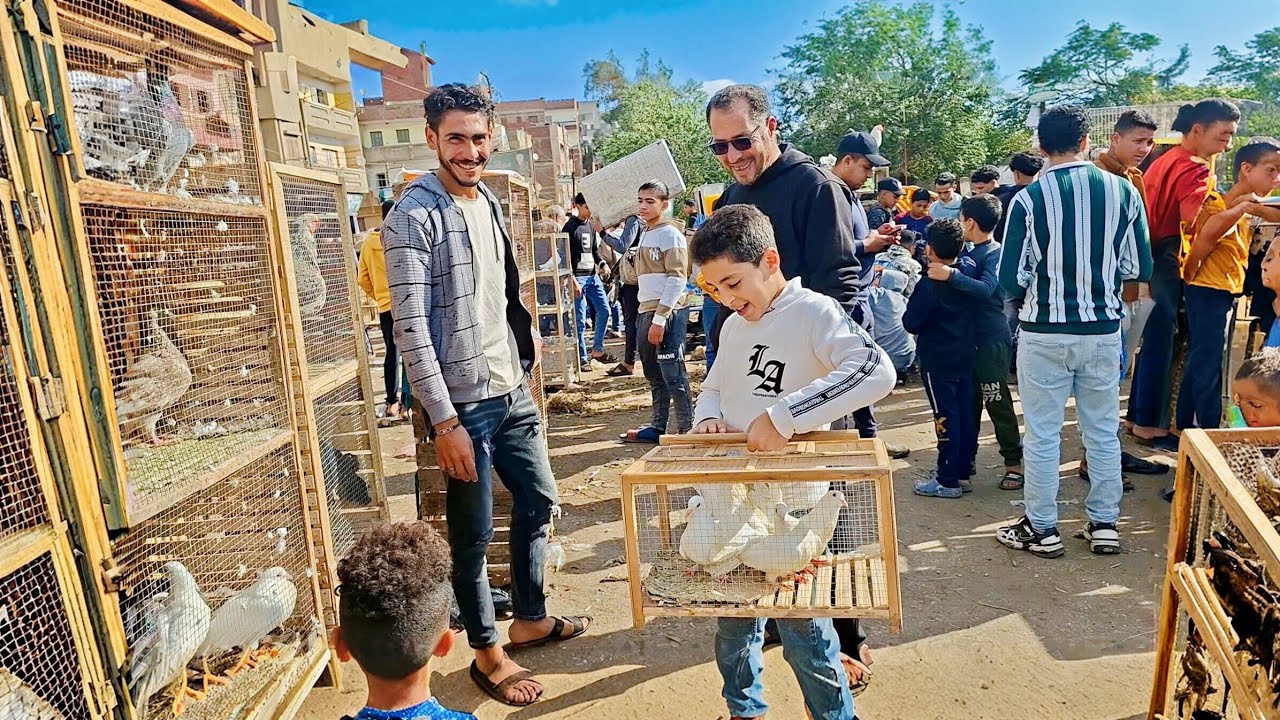 ربنا مابيرضيش بالظلم☝️ احمد دبسنا في اغلى حمام وصرفنا كل اللى فى جيبنا 😩وجينا ماشين على رجلينا🥴