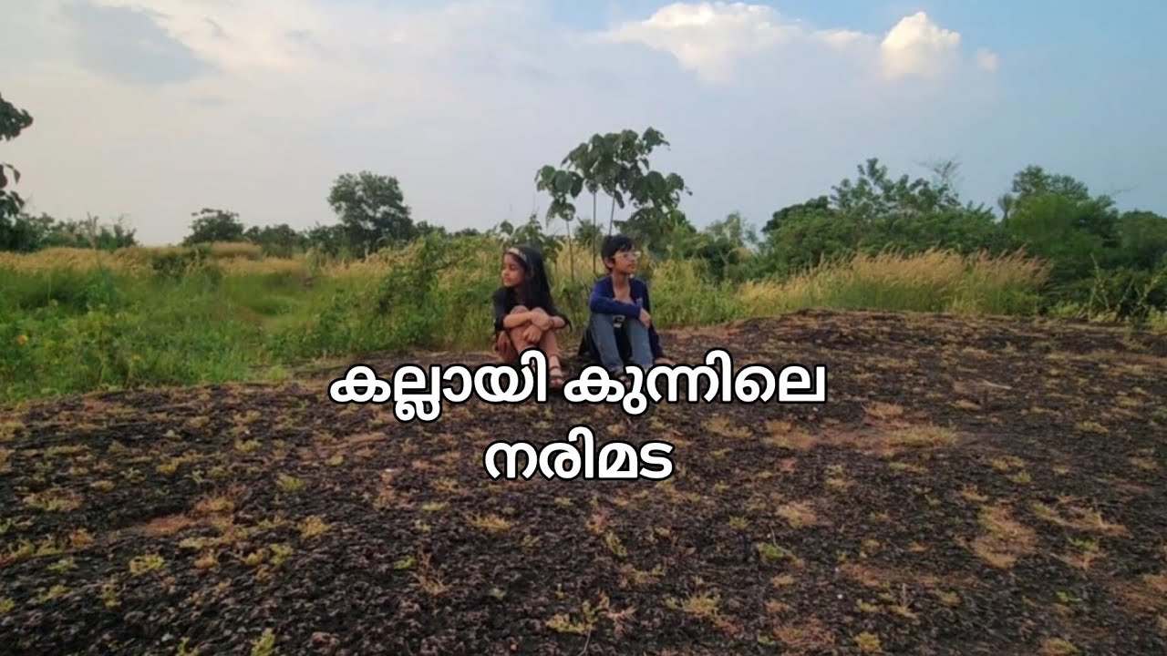 കല്ലായി കുന്ന്,  കലശമല,  നരിമട എന്നറിയപ്പെടുന്ന മലയിൽ പോവാം......