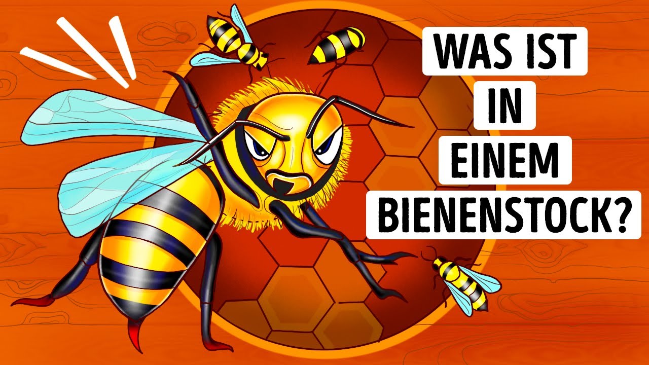 Bienenstock enth&uuml;llt: Naturreich + Tierwunder!