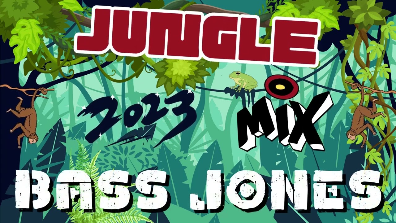 JUNGLE MIX | RAGGA | DRUM AND BASS | DJ BASS JONES