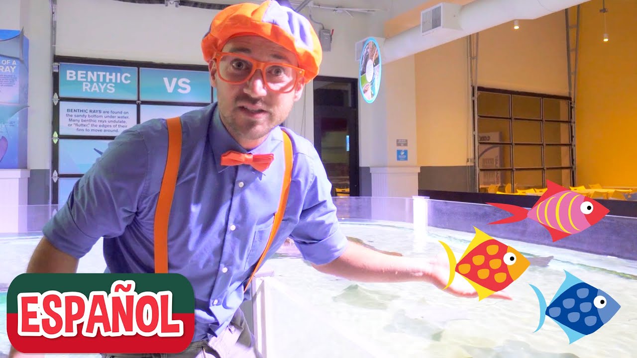 Blippi Español Visita un Acuario | Videos Educativos de Peces y Animales para Niños