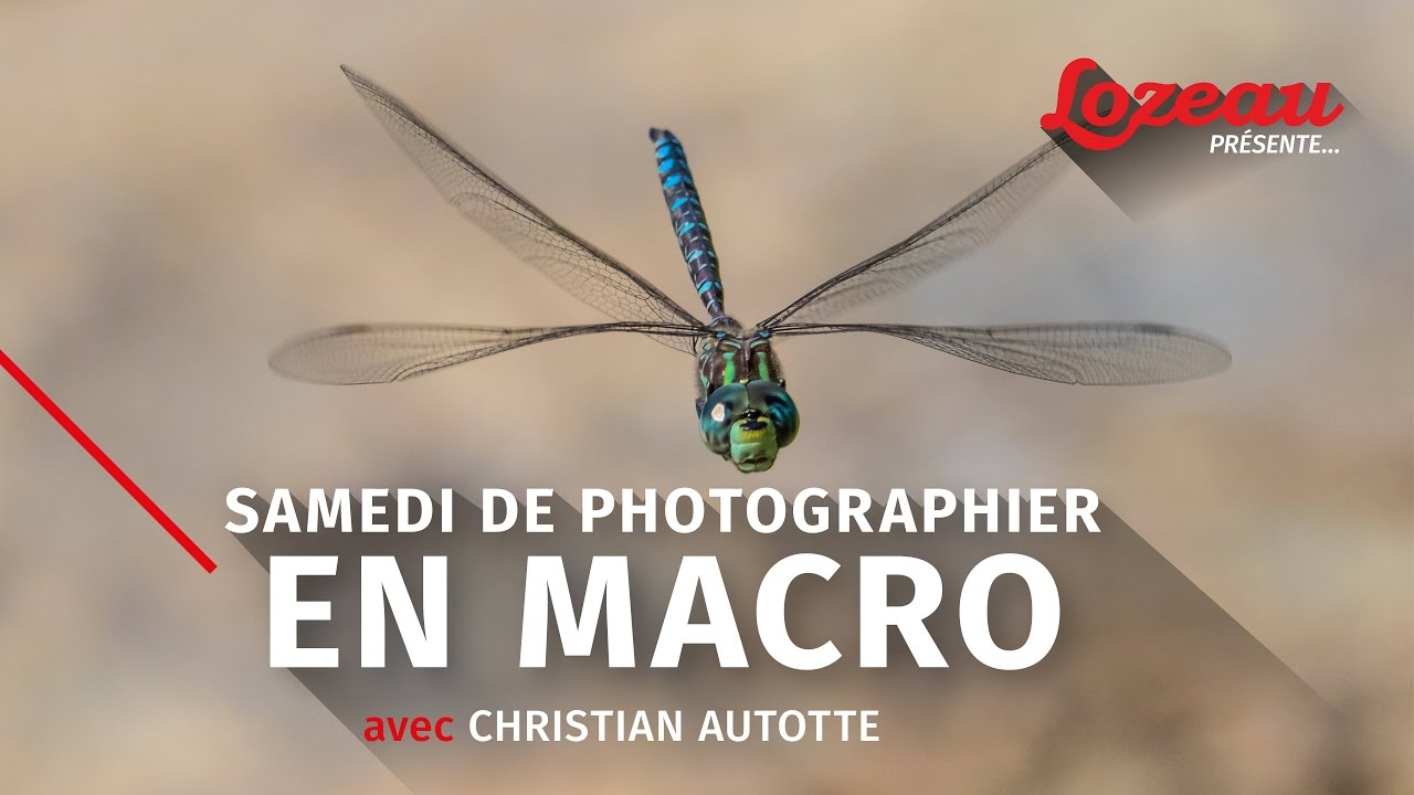 Conférence Lozeau - Samedi de photographier en macro