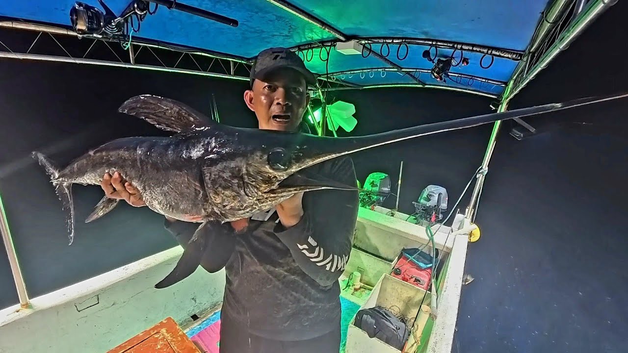 SWORD FISH ( IKAN TODAK ) MANCING LAUT DALAM BANYAK KEJUTAN❗️