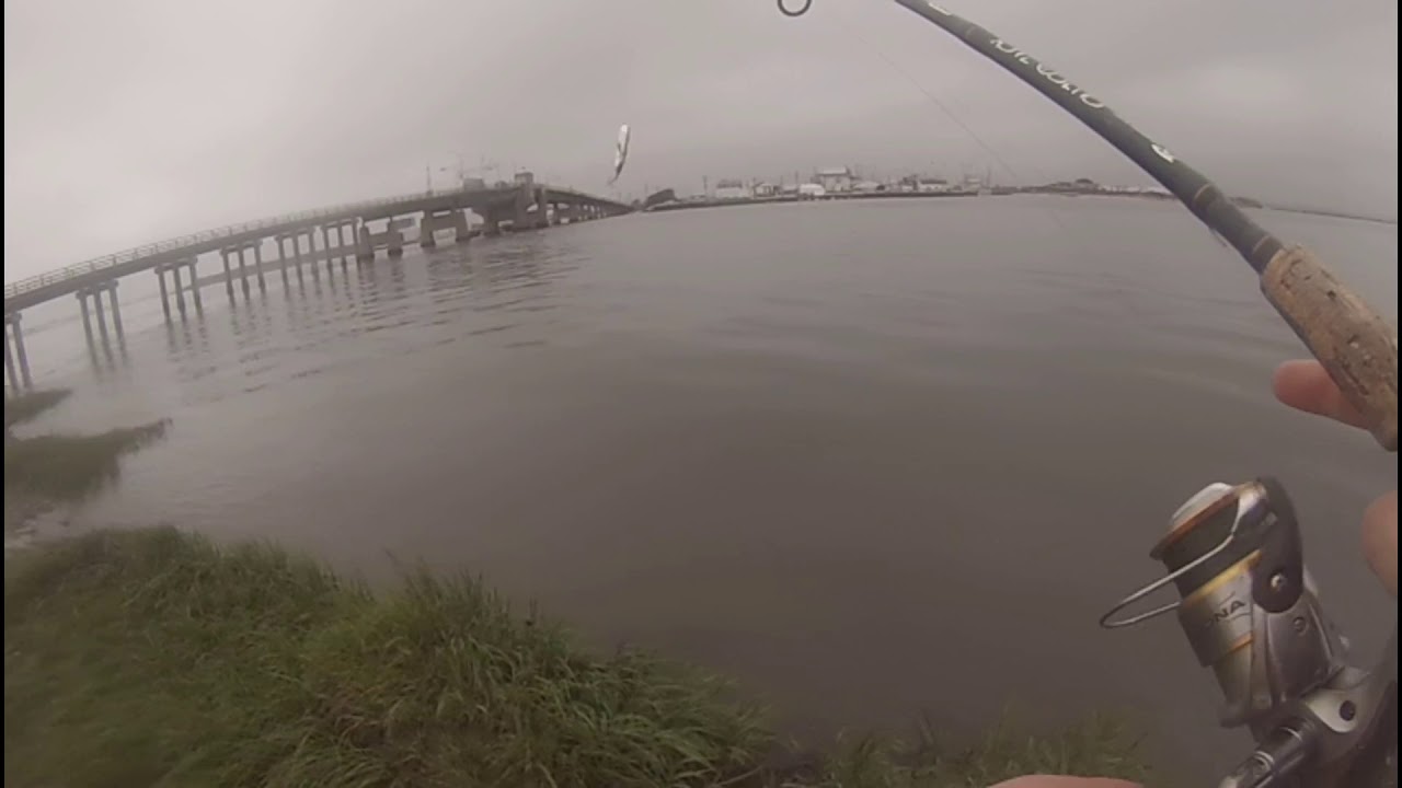 The Greatest Catch of My Life!