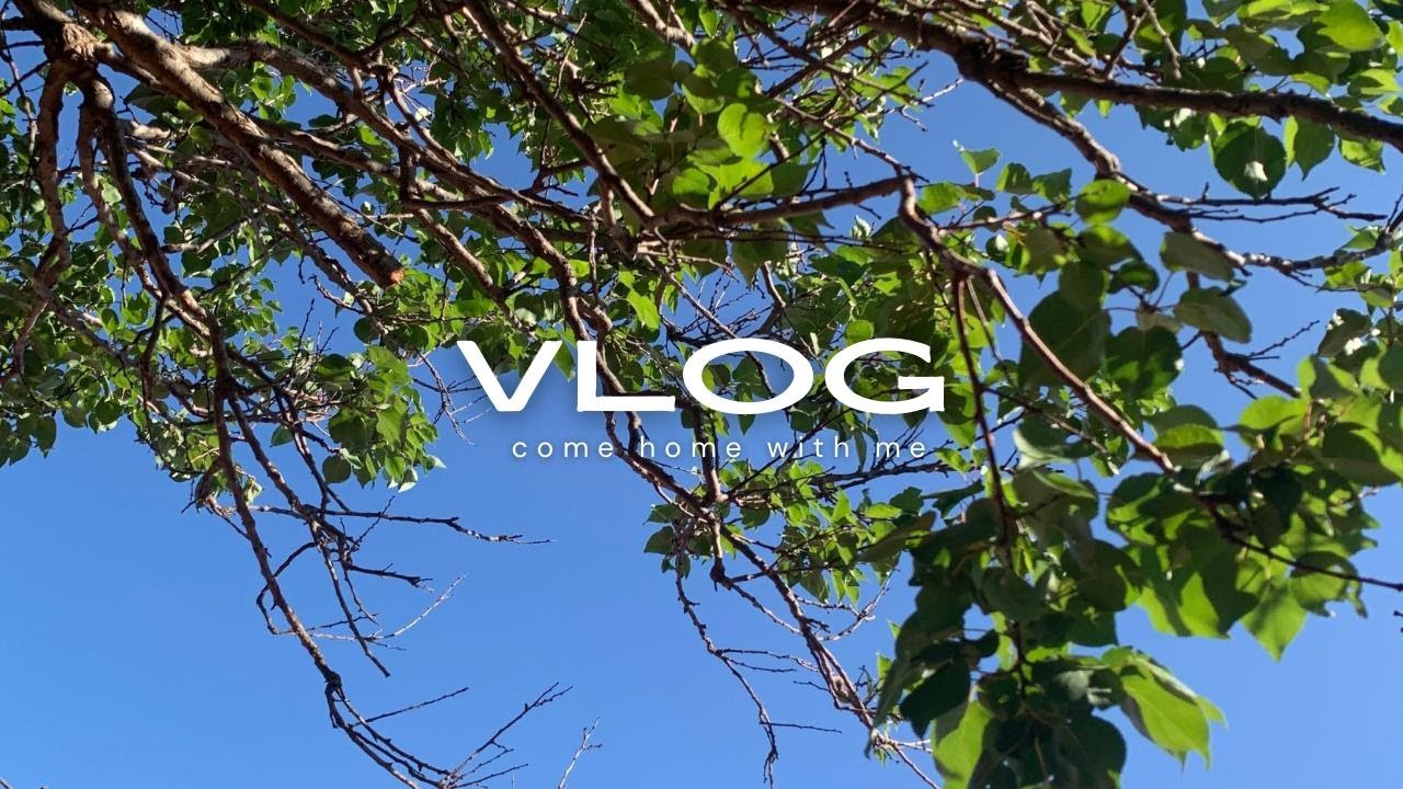 I COULD'NT DELETE THIS VLOG|| TRAVEL HOME WITH ME||I AM BACK TO STABLE WIFI|| NEOKIE_M|| SA YOUTUBER