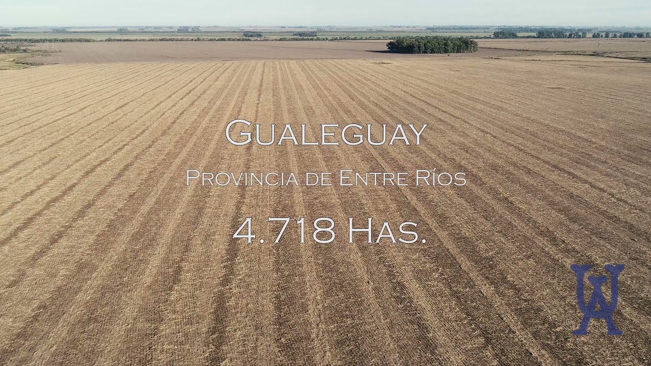 Alzaga Unzué - Gualeguay - Entre Ríos - Argentina - 4.718 Has.