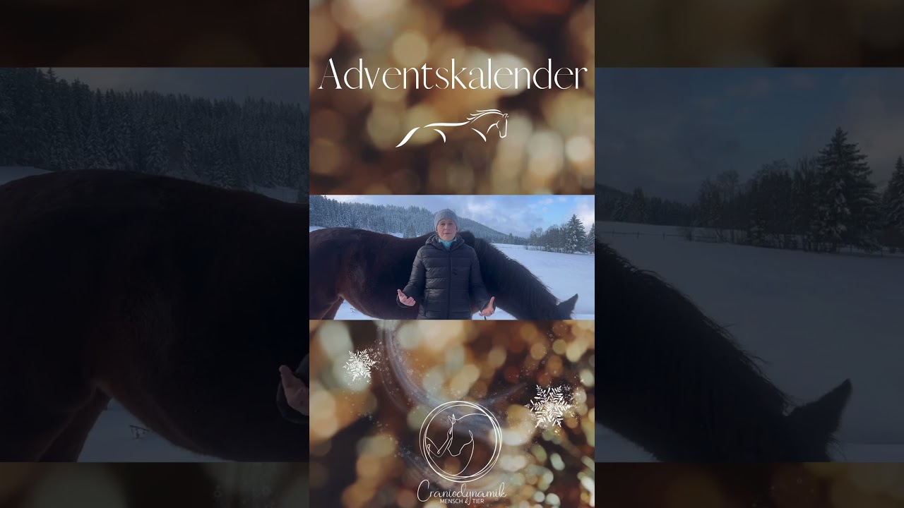 ❄️ EMS aus Sicht der TCM ❄️ Das ganze Video auf unserem Kanal!