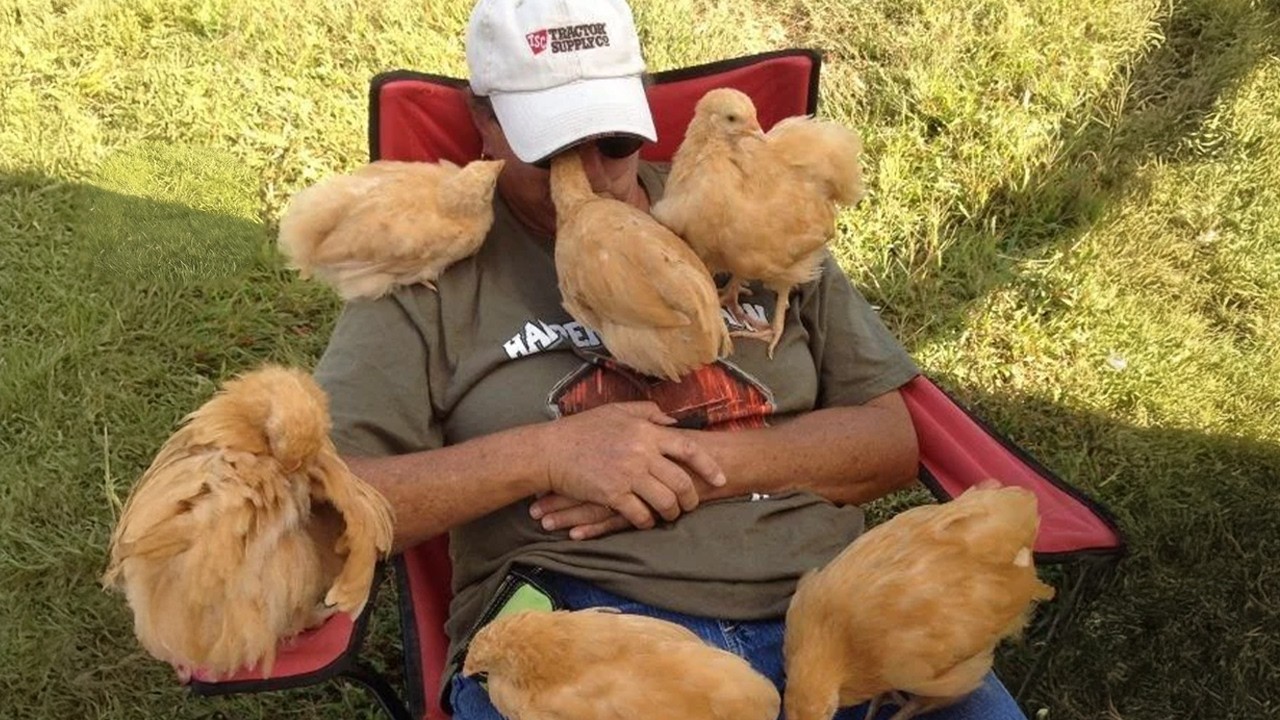When Baby Farm Animals Are More Human Than You 🤣