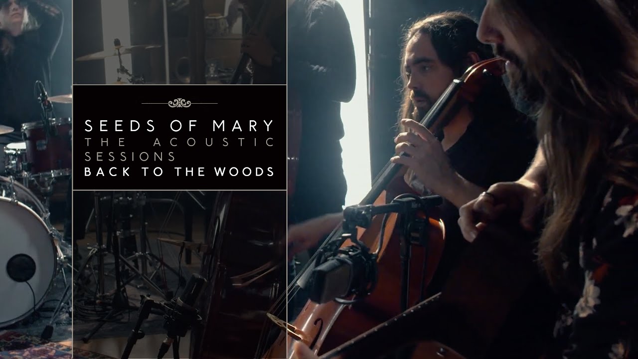 Seeds Of Mary feat. Qlay | Acoustic Sessions - Back to the Woods | Official Music Video | 4K