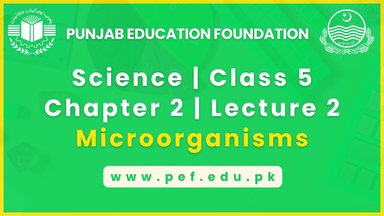 Science | Class 5  | Chapter 2 | Lecture 2 | Microorganisms