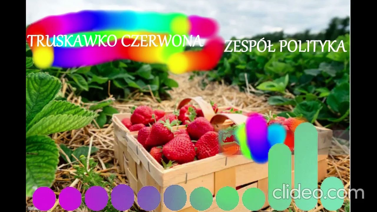 TRUSKAWKO CZERWONA.