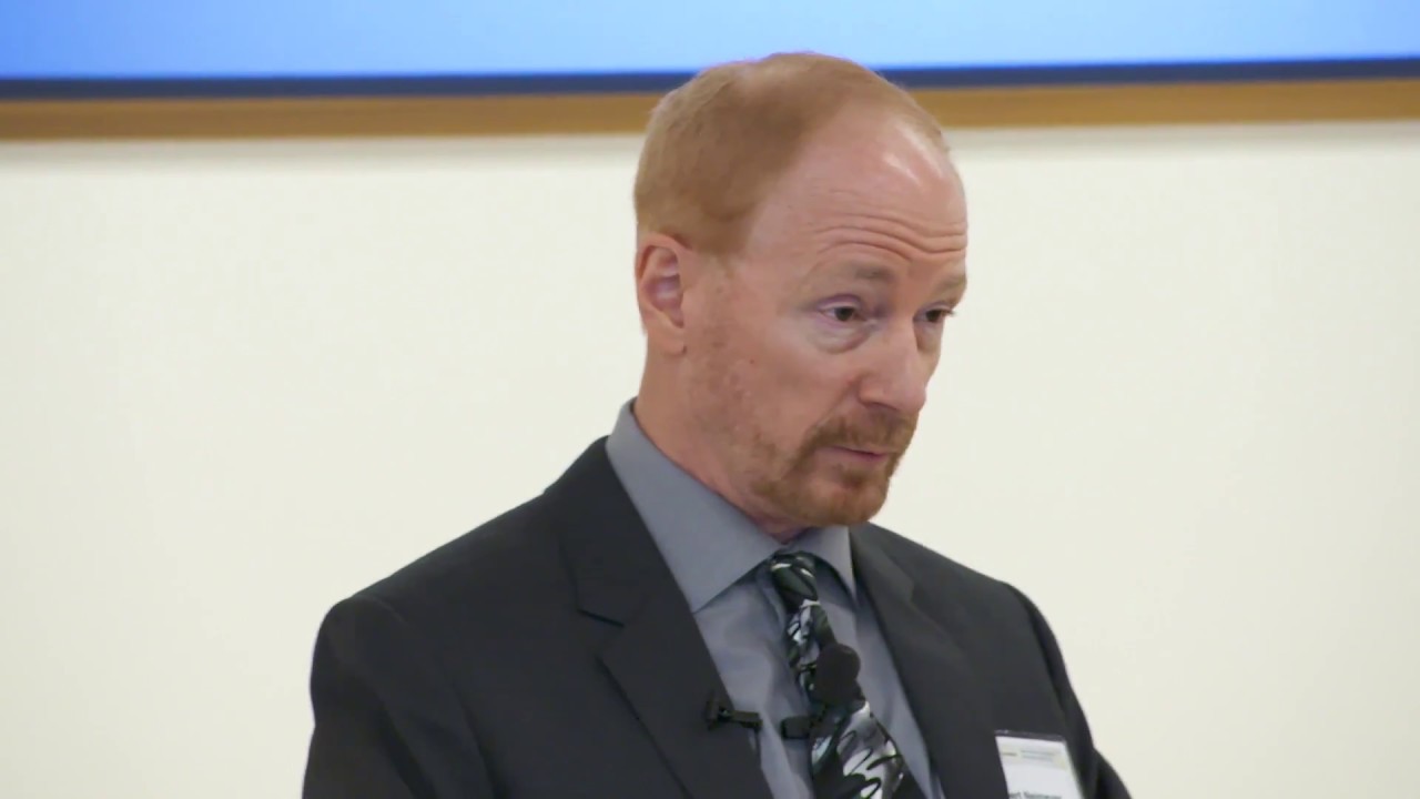 VIDEO 1: Professor Robert Neimeyer PhD on Grief Work and Secure Bases