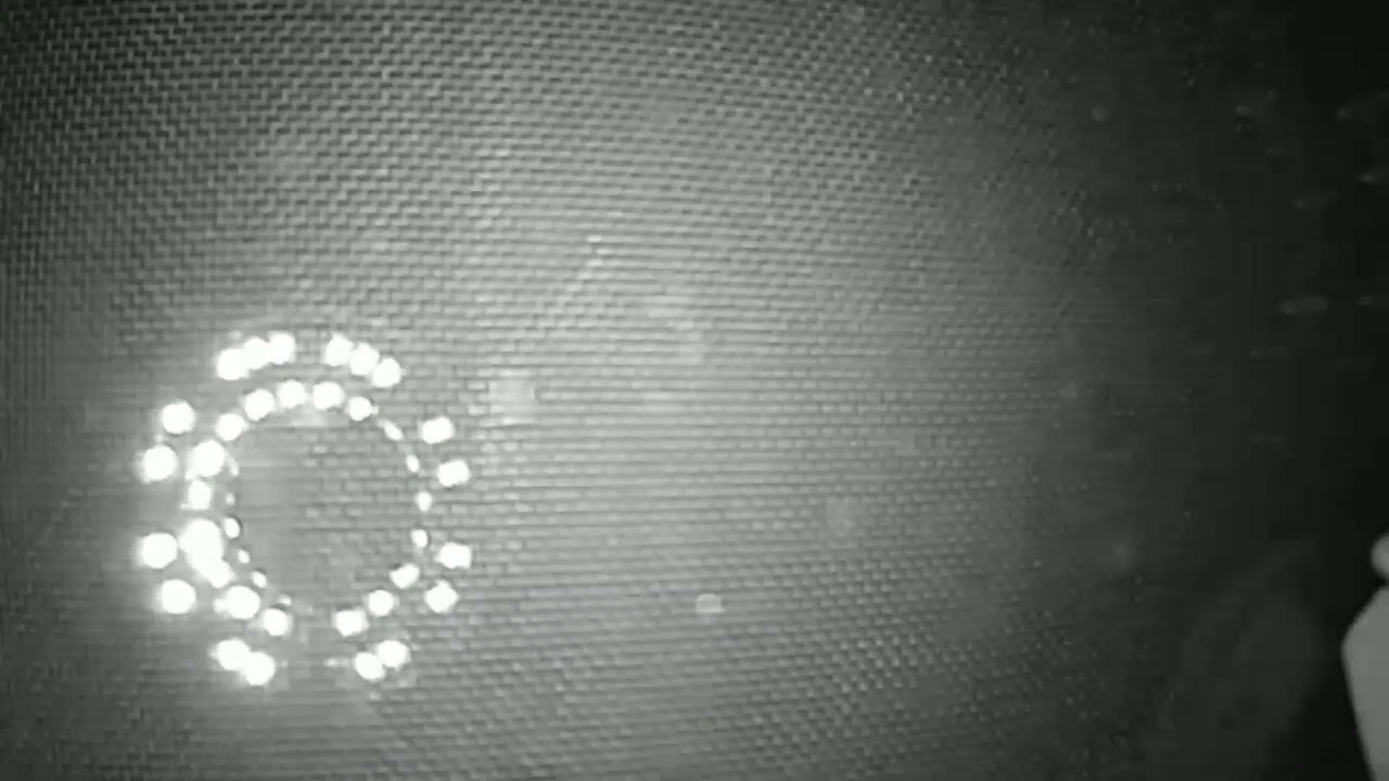 Grandma-Z Backyard CCTV Camera Stream (2/23/2026, Stream 2)