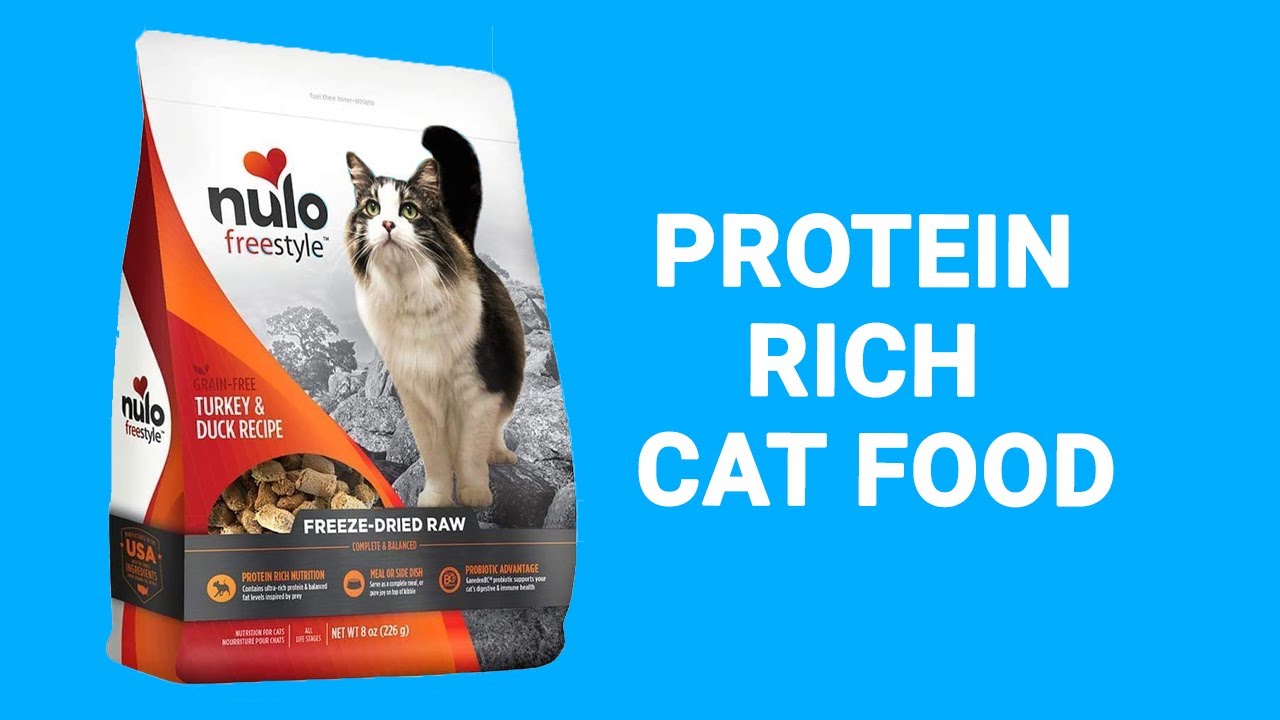 Top 5 Best Protein Rich Cat Food