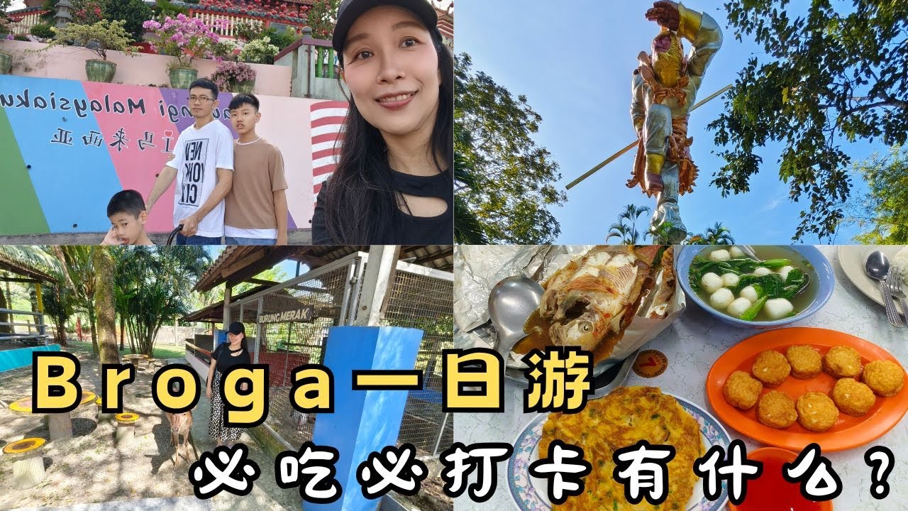 【Broga新村一日游】｜美食与景点攻略] 石拿督庙、兔子园、男朋友冰沙，好好喝！新鲜烧鱼超美味！越吊桥找齐天大圣！