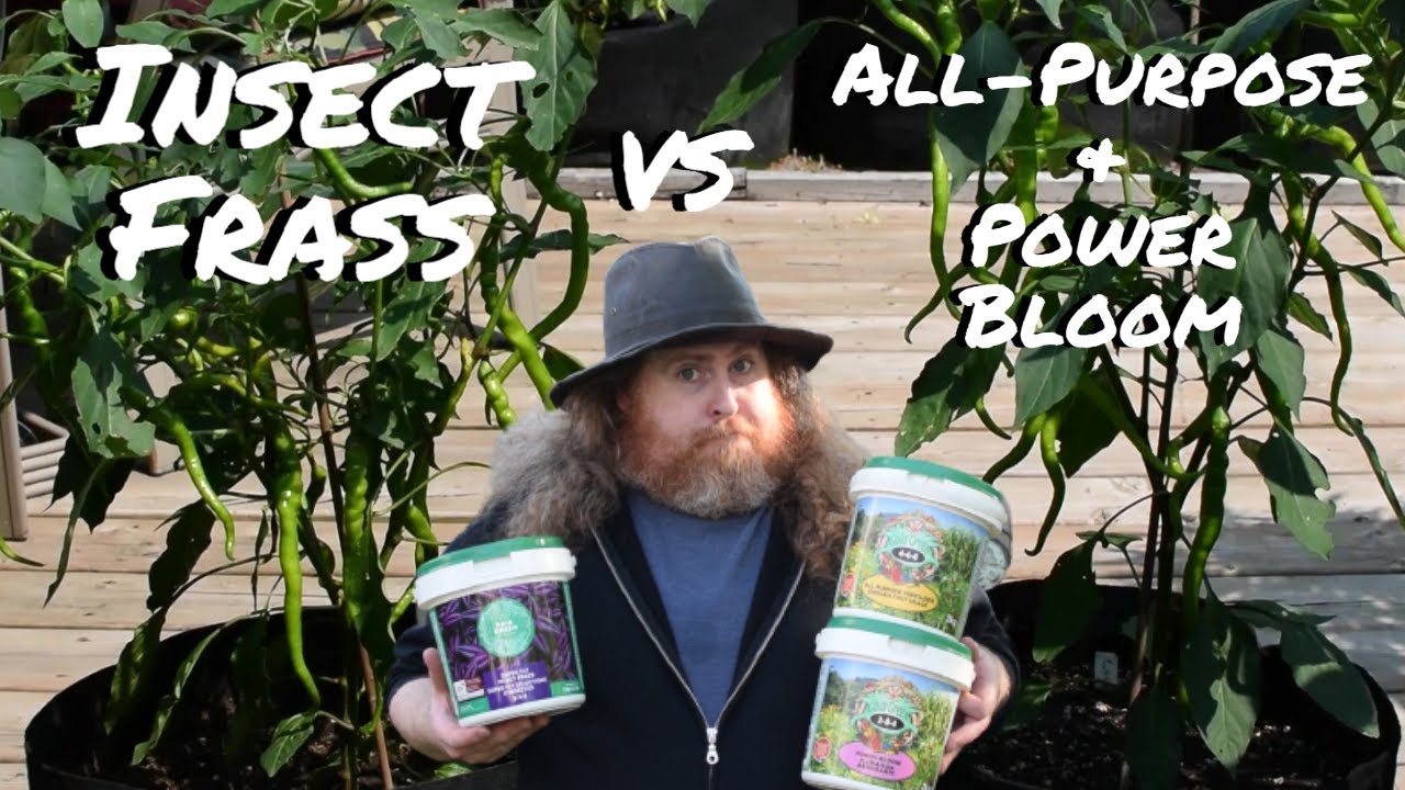 INSECT FRASS VS ALL-PURPOSE & POWER BLOOM