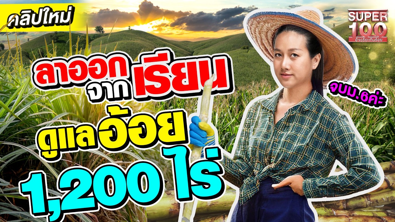 มาลัยทองนี้ให้แม่แทนใบปริญญานะ #มิ้น ลาออกมาทำสวน เกษตรกรไร่อ้อย 1200 ไร่ | SUPER100
