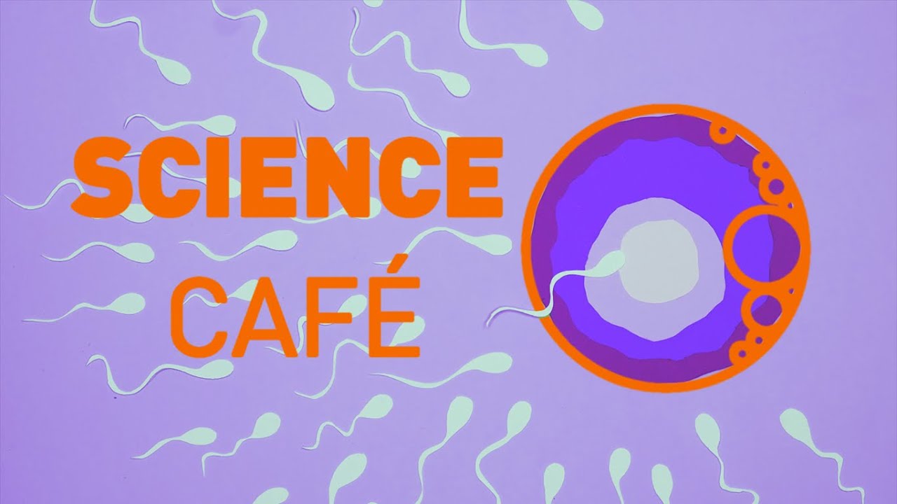 Science Café Praha: Umělá reprodukce - možnosti a naděje