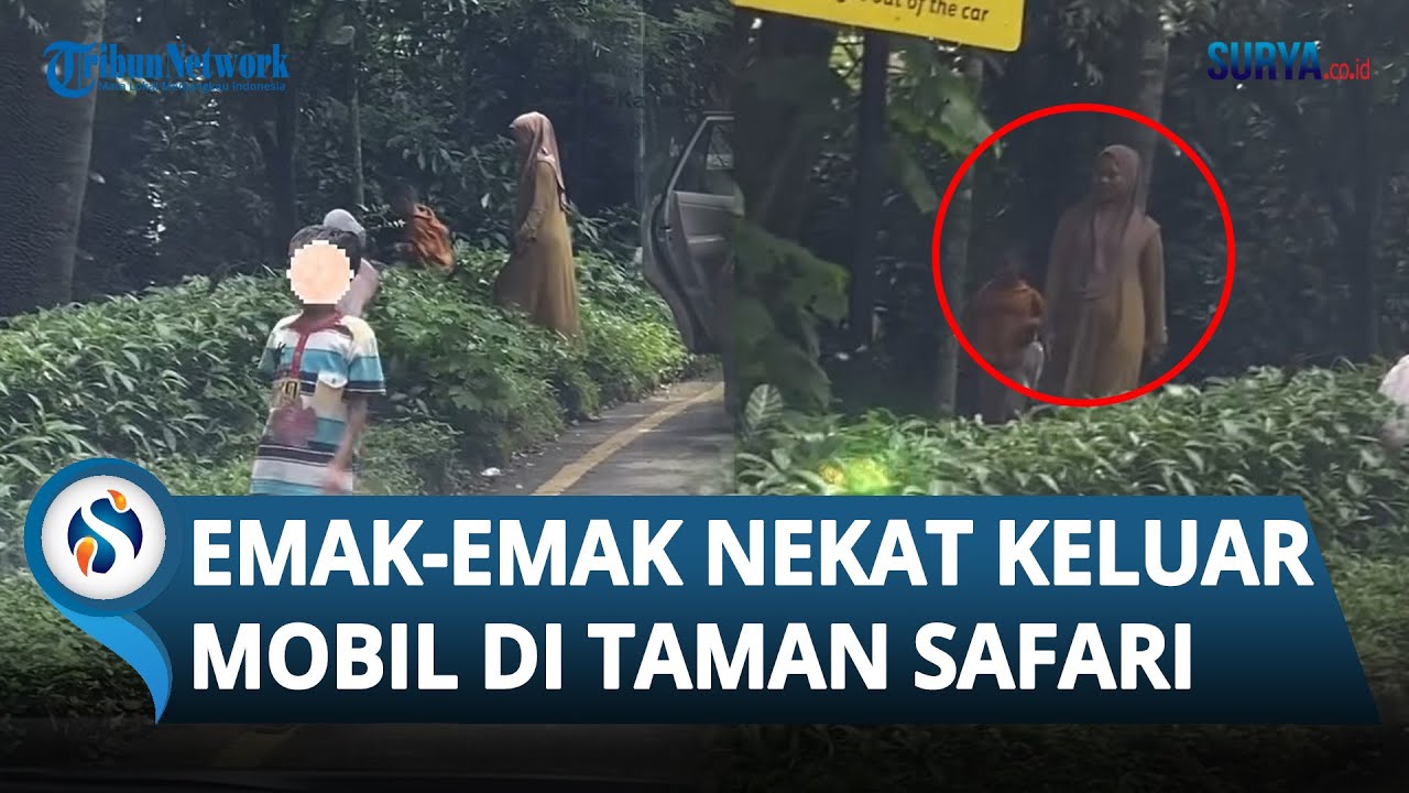 BUKAN MAIN! Emak-emak NEKAT Keluar Mobil Ajak Sang Anak hingga Masuk Kandang di Taman Safari