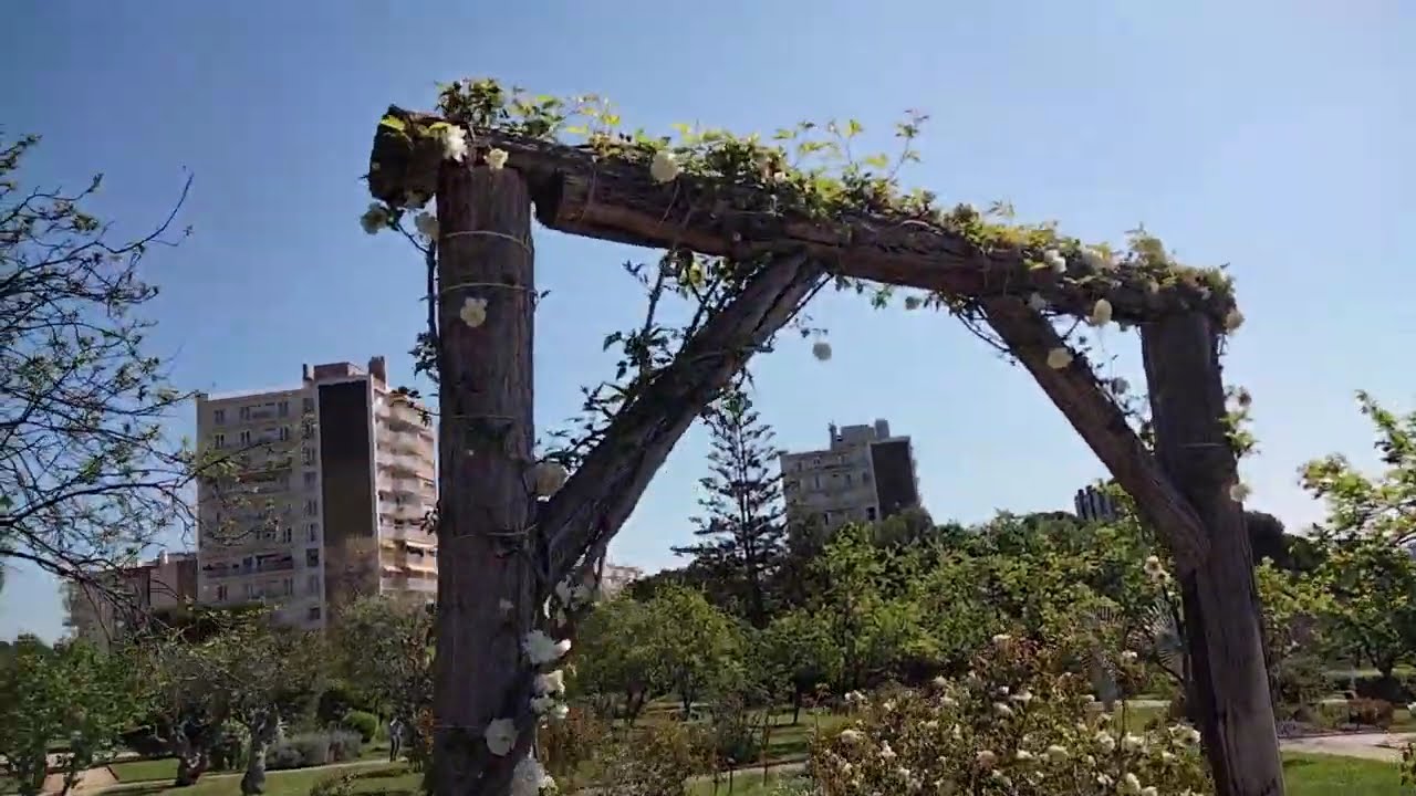 Roserar de Cervantes