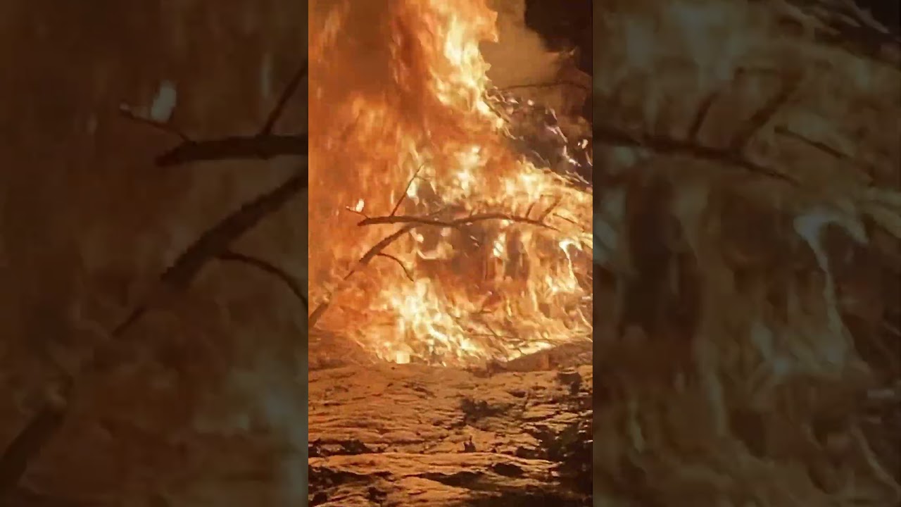 Fire is fire #fire #hotfire #shorts #shortsfeed