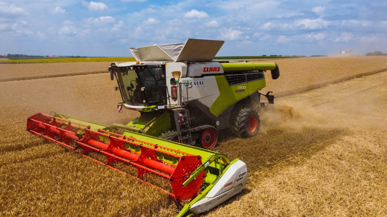 BÚZA ARATÁS (2020) CLAAS LEXION 760 & 7700, MEGA 208, ZOM KFT.