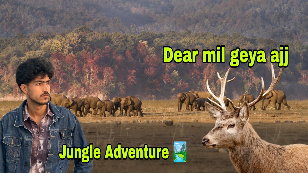 Jungle Adventure // Dear mil geya 🏞️ 