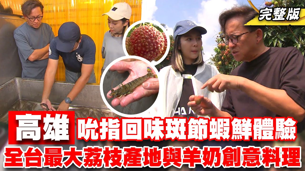 《詹姆士出走料理》老饕最愛吮指回味斑節蝦料理 全台最大荔枝產地與現擠羊奶驚人好滋味!-第218集-2023/7/23
